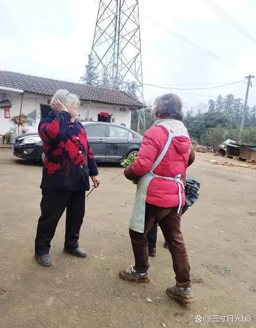 外地亲友接驳